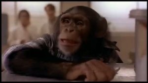 Официальный трейлер "Любовный напиток № 9 (1992)"