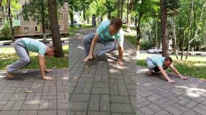 энимал флоу