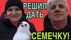 НАДЕЖДА НА СЕМЕЧКУ ЕСТЬ! VREDINA LIFE. ОБЗОР.