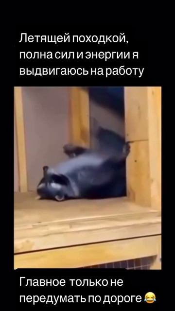 На работу смотреть онлайн