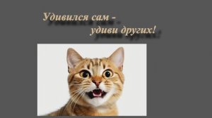 Удивился сам, удиви других!