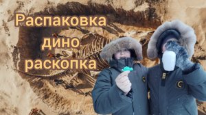 Распаковка дино раскопка