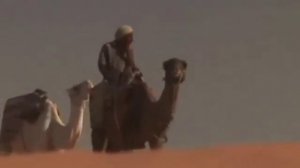 В ЖИЗНИ КАК В ПУСТЫНЕ