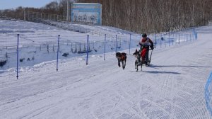 «БЕРИНГИЯ. АВАЧА-2026» – ФИНАЛ