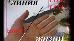Линия Жизни