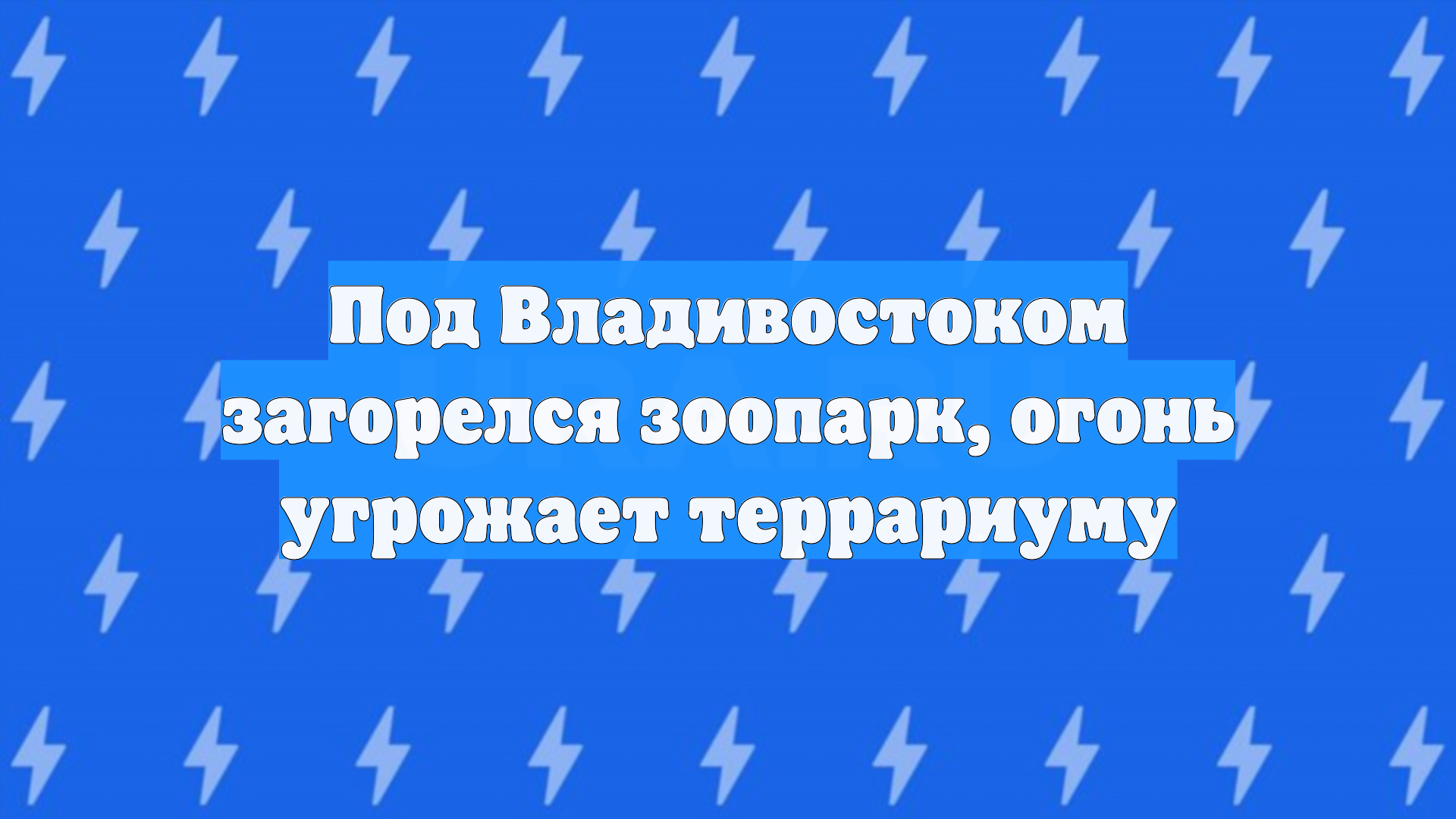 Пожар в зоопарке во Владивостоке начался с возгорания сарая смотреть онлайн