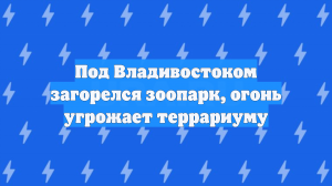 Пожар в зоопарке во Владивостоке начался с возгорания сарая