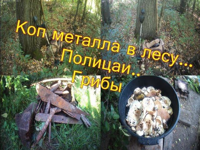 Металлокоп в лесу.  Прихватили  полицаи...