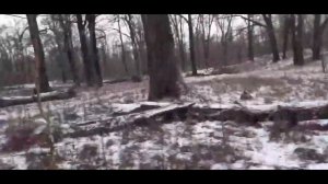 похищенный для леса ЧАСТЬ 32