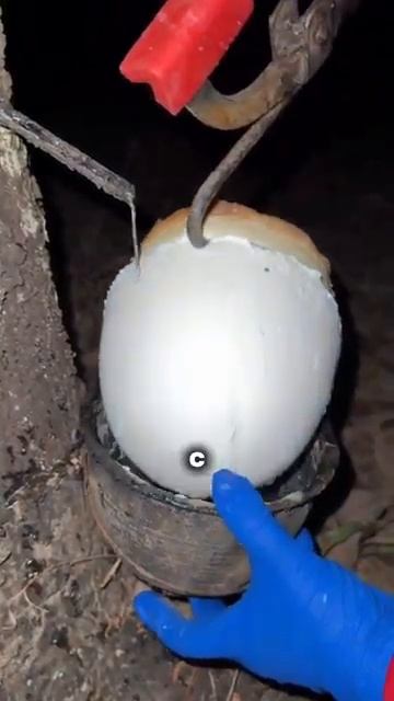 Латекс смотреть онлайн