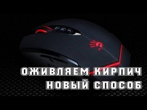 Мышь bloody не подключена►Как восстановить мышь bloody►Новый способ