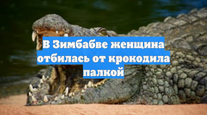 В Зимбабве женщина отбилась от крокодила палкой