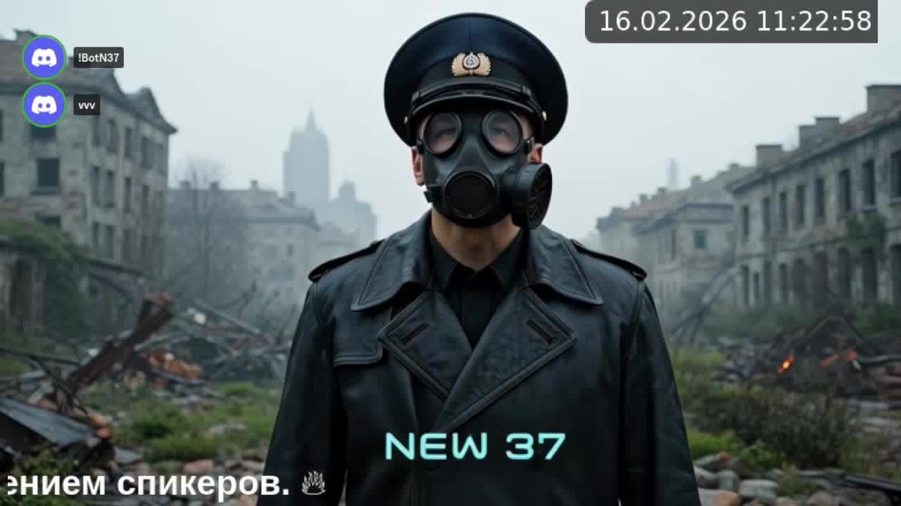 LIVE: NEW 37 смотреть онлайн