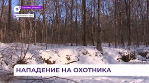 В Чугуевском округе тигр насмерть загрыз охотника