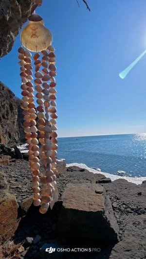 о. Русский 16.02.26