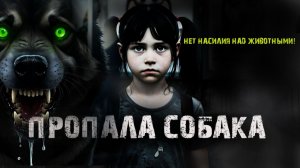 Пропала собака в Кисловодске! Страшные истории на ночь. Мистика