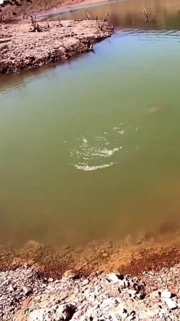 Видео от За Трофеем: Охота и Рыбалка смотреть онлайн