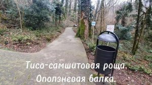 Оползневая балка — достопримечательность Тисо-самшитовой рощи. Роща расположена на склоне горы Ахун.