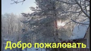 Жизнь в деревне. Лавина хейта меня ошарашила.