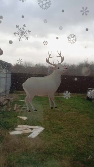 шалвтататв