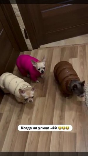 Возможно, нас не заметят, если мы будем стоять и не двигаться...