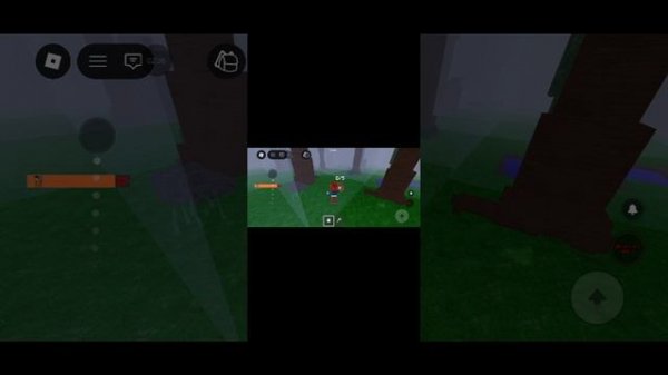 первое видео