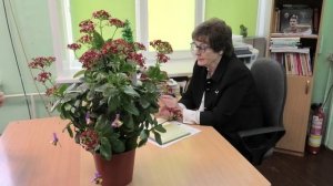 Людмила Купцова вспоминает Соколенко М.Н