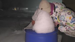 Что прибавилось на участке? Середина февраля. Очень ждали этого.