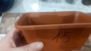 16.02.2026 Рассматриваем некоторую рассаду, говорим о первом посеве томатов.