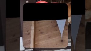 1000048729.mp4 (Собака наблюдает за устройством лестницы на 2 этаж в доме А-фрейм)