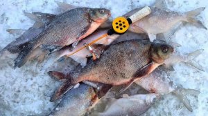 ВОТ ЭТО ЛЕЩИШКА🔥!!! САМАЯ АДСКАЯ РЫБАЛКА🥶!!!