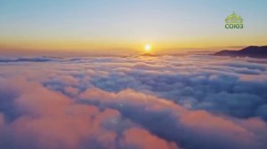 Стихи над миром. Стихотворения Зинаиды Миркиной