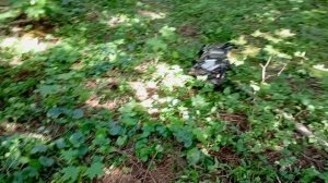 1000250935.mp4день кошельков, монет СССР.Хоть  такими монетами, но лес радует.16.09.25