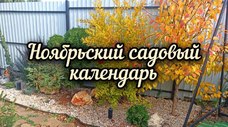 Ноябрьский садовый календарь. Какие работы НЕ делаю в южном саду осенью.  (1)