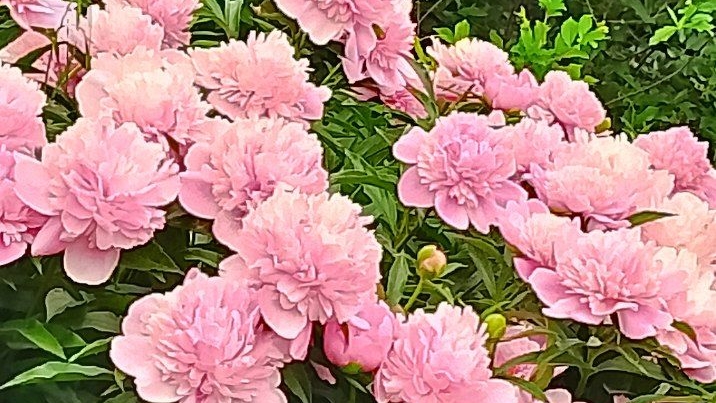 Летнее настроение!😀 16-02-2026 смотреть онлайн