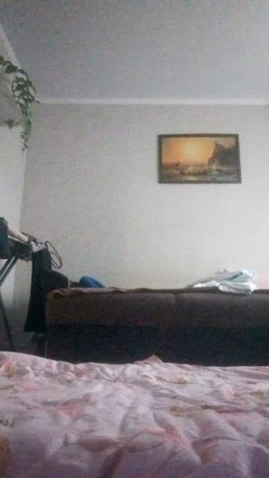 VID_20260216_085507.mp4