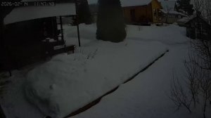 20250214 сход снега