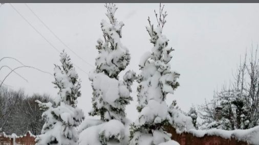 Н. Нестерук Ах белоснежная зима смотреть онлайн