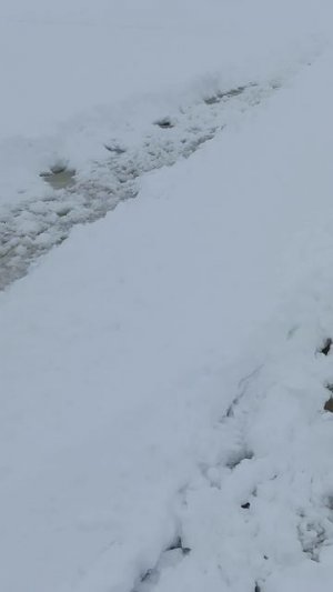 Наледь.Русская забава на севере😄 загнать снегоход туда и вытаскивать потом👍💪😄