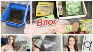 Влог, чистота в доме, пришли посылки