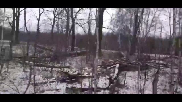 похищенный для леса ЧАСТЬ 13