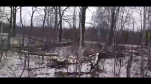 похищенный для леса ЧАСТЬ 13