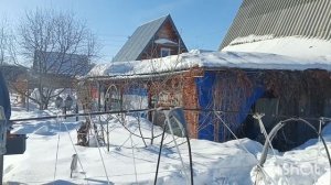 Из сломаной теплицы вынесла, что смогла. Мой Зимний бардак