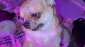 Доброго всем утречка и чудесного начала дня.