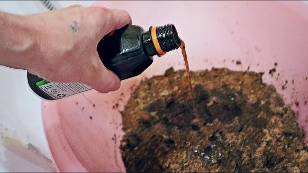 7 проверенных способов обеззаразить грунт перед посадкой помидор и перца для крепкой рассады.