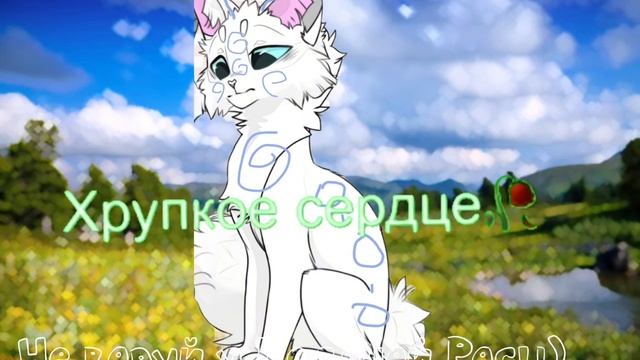 Эх... ВИДЕО МОЕ! В ЭТОМ ВИДЕО ЕСТЬ ФУТАЖ, ОН НЕ МОЙ! смотреть онлайн