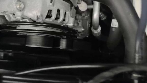 Собственно свист