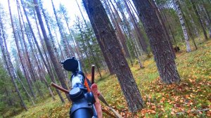 Оставил собаку у избушки, а сам пошёл на охоту. И вот что у меня получилось! 8 серия