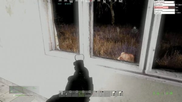 The Nightmare's DayZ PVE | Рикошеты, переломы | #dayz #nightmares #qwertysev