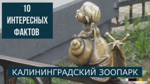 10 интересных фактов о Калининградском зоопарке